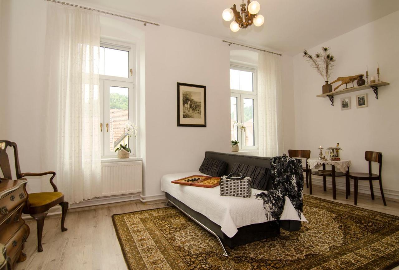 Trubarjev Art Boutique Hotel Лашко Екстер'єр фото