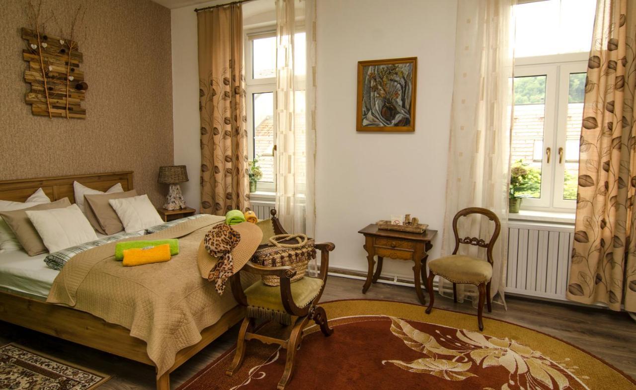 Trubarjev Art Boutique Hotel Лашко Екстер'єр фото